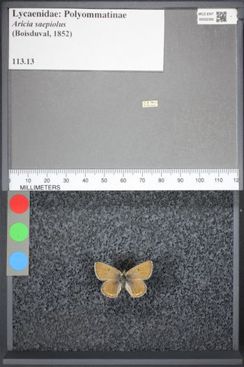 Media type: image;   Entomology 52395
